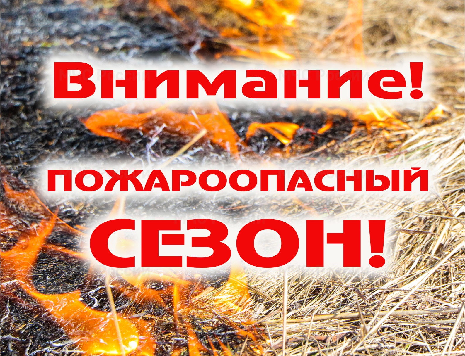 О начале пожароопасного сезона на территории Беловского сельсовета.